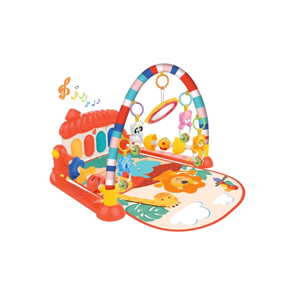 Baby Play Gym