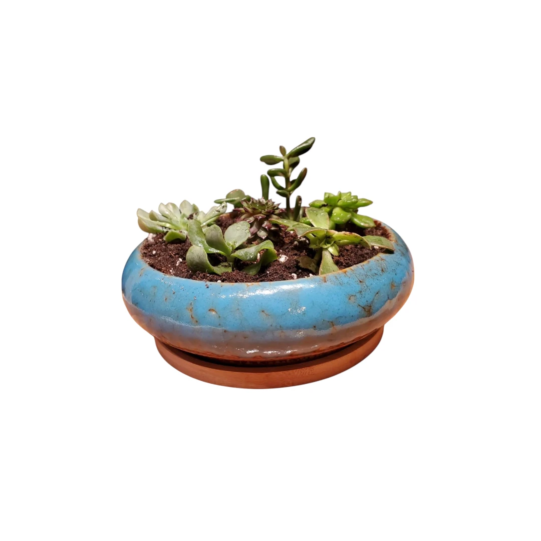 Artketty Succulent Plant Pot