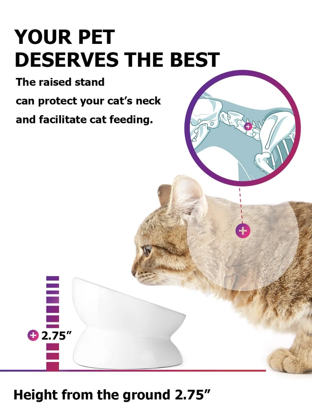 Elevated Cat Food Bowl