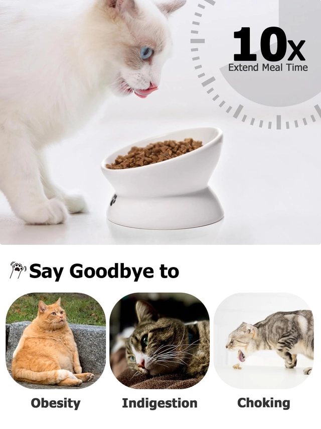 Elevated Cat Food Bowl