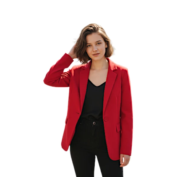 MINTLIMIT Blazer for Women - Classic Blazer