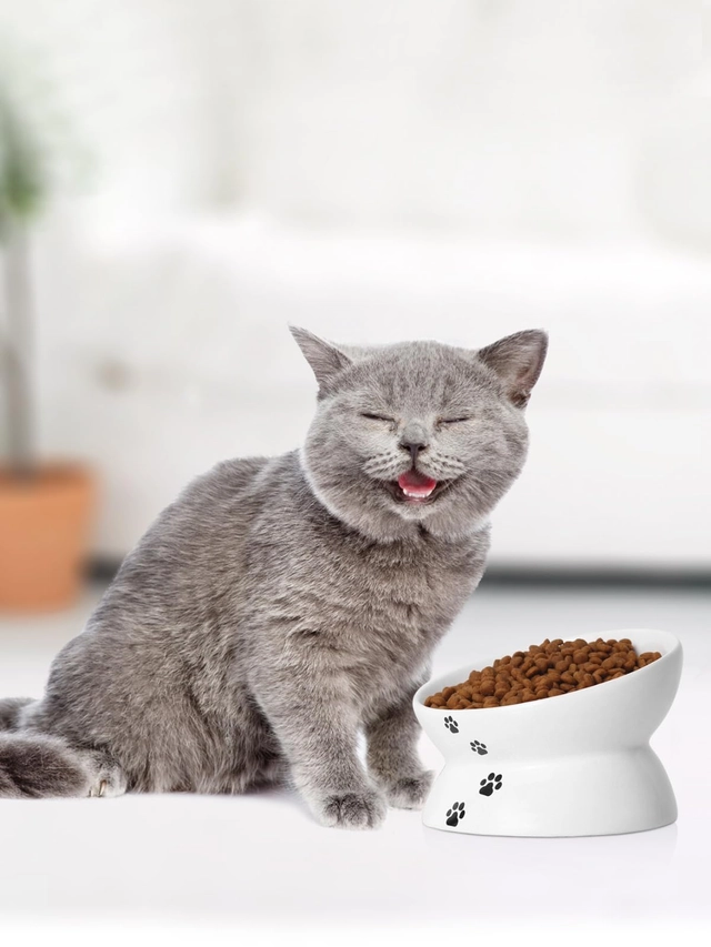 Elevated Cat Food Bowl