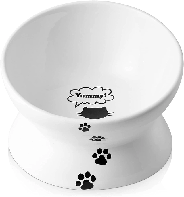 Elevated Cat Food Bowl