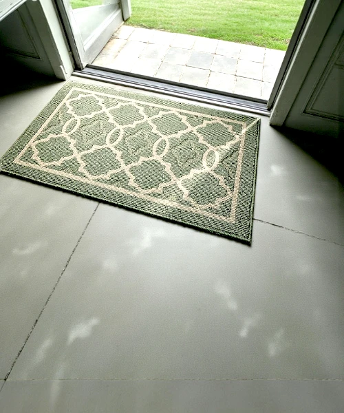 Dexi Door Mat Dirt Trapper