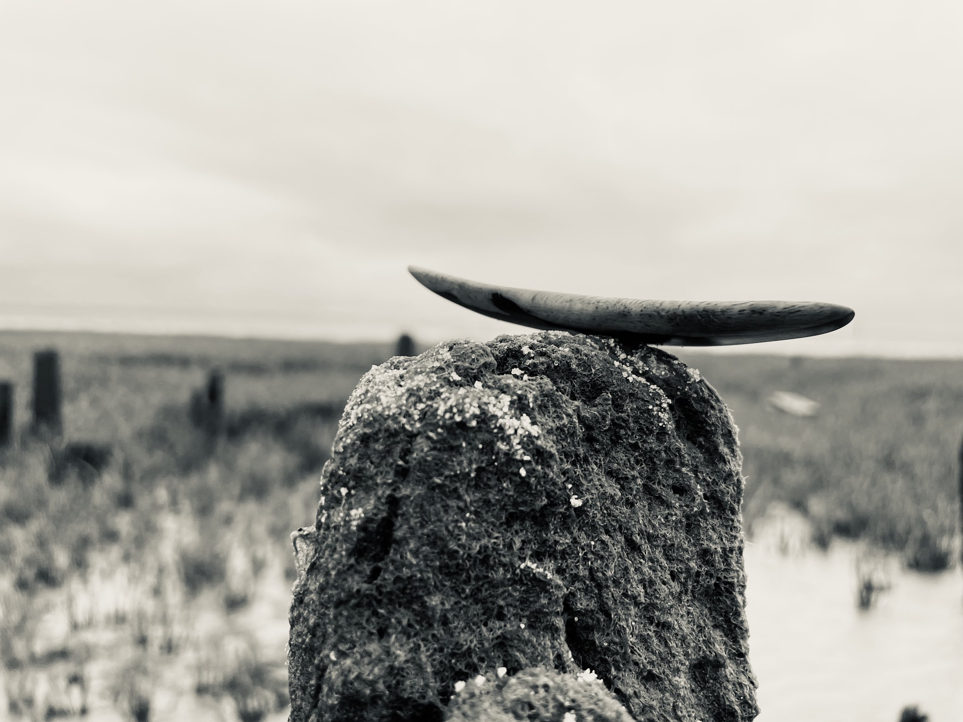 Touch Wood Anti-Stress ~ Surf the road ~       { Bois d'ébène } 