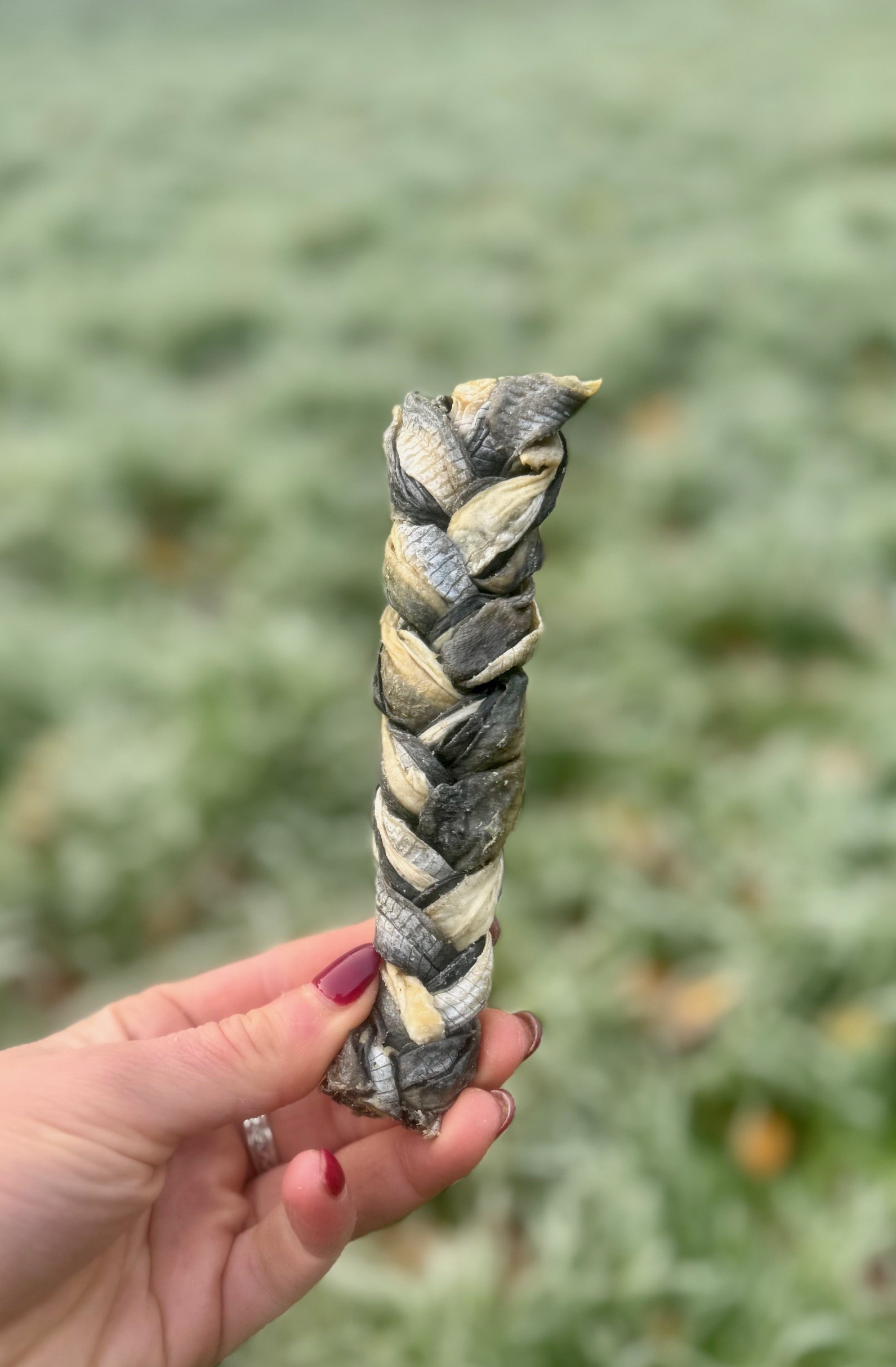Fish Skin Braid