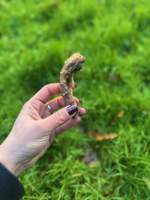 Chicken Neck