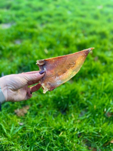 Moon Bone (Beef cartilage - No actual bone)
