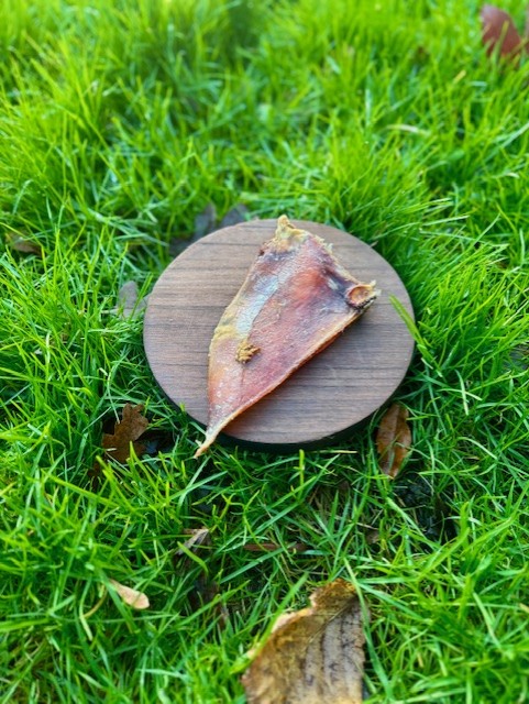 Moon Bone (Beef cartilage - No actual bone)