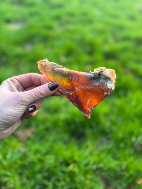 Moon Bone (Beef cartilage - No actual bone)