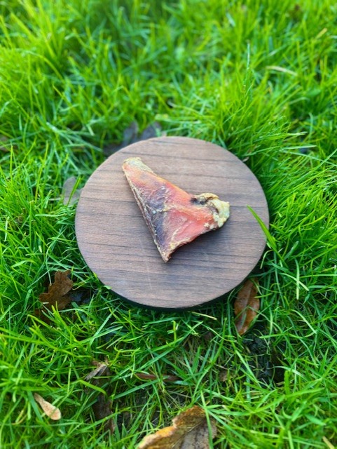 Moon Bone (Beef cartilage - No actual bone)