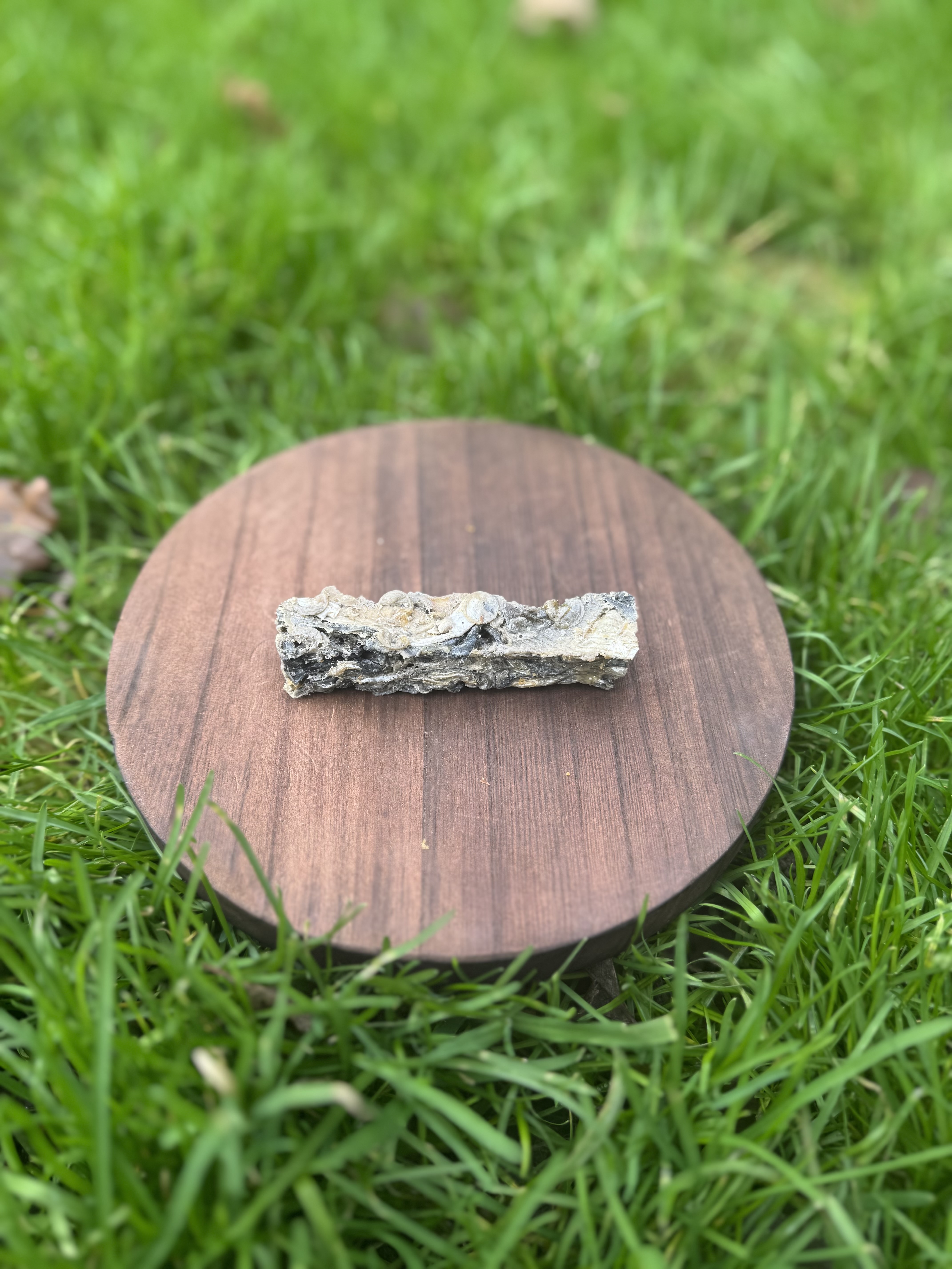 Small Fish Finger