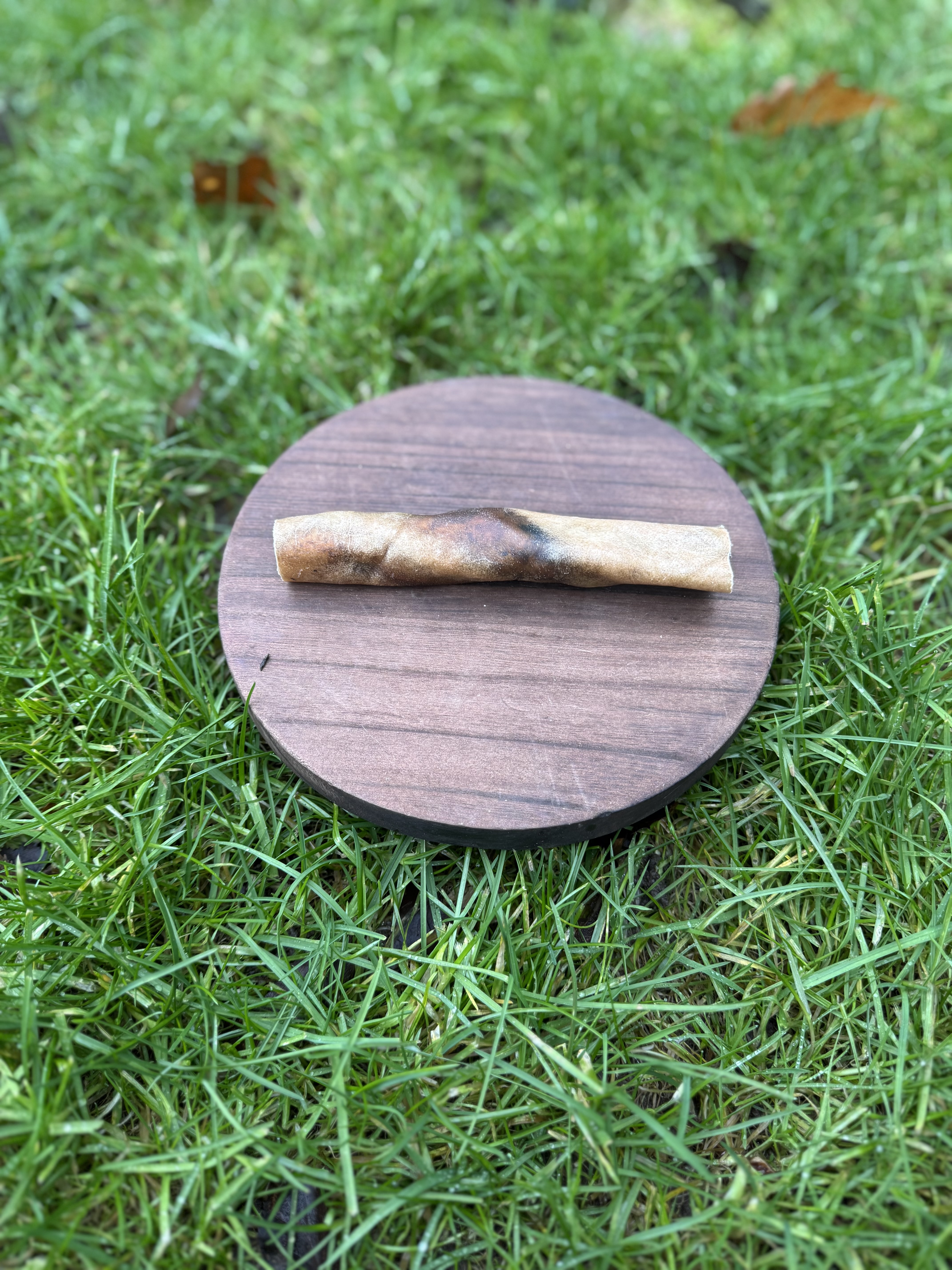 Camel Skin Roll (15cm)