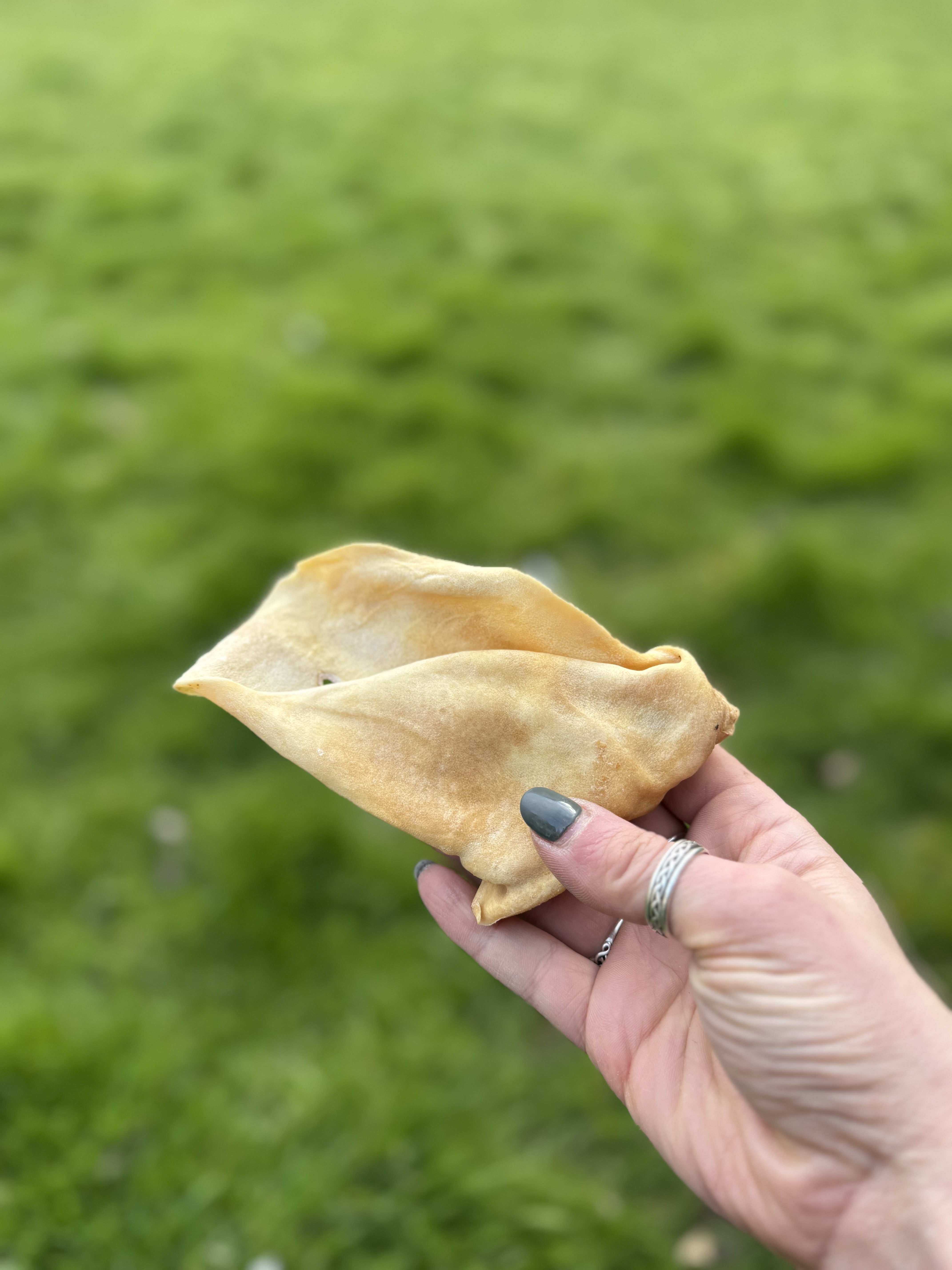Meaty Cow Ear