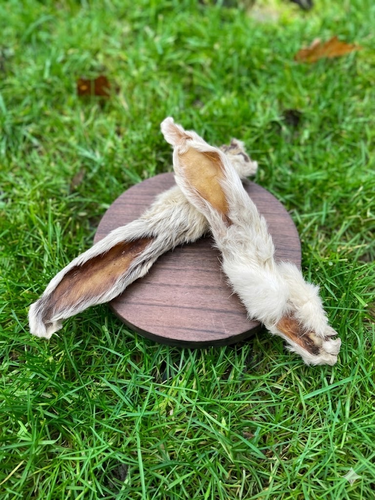 Hairy Rabbit Ear