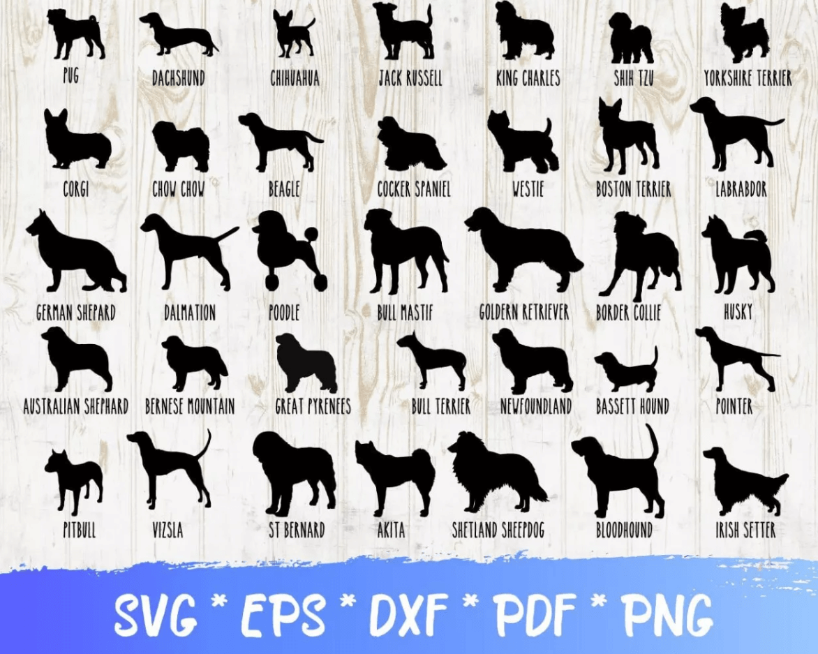 DOG SVG BUNDLE 200+