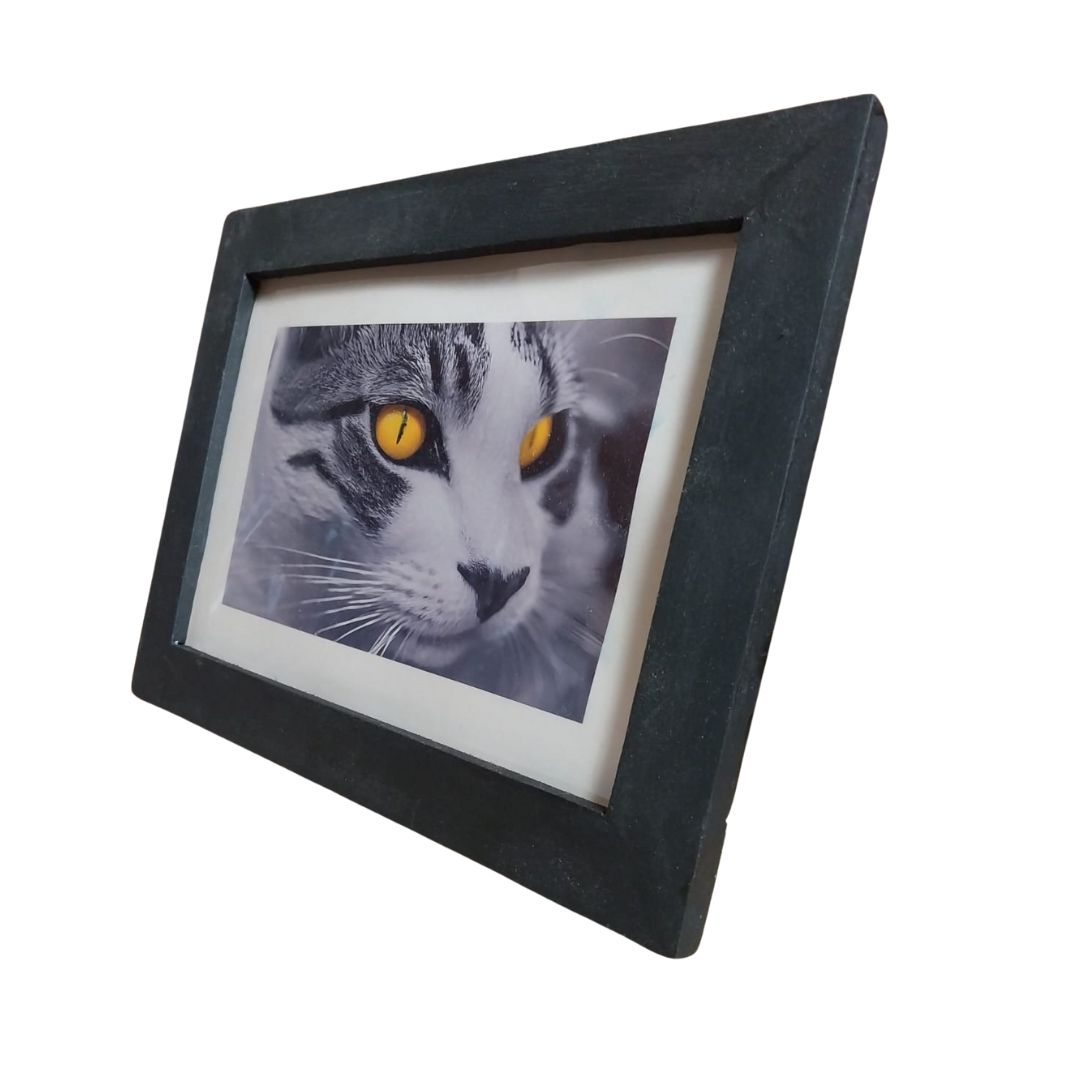 Quadro Decorativo Gatto Giallo