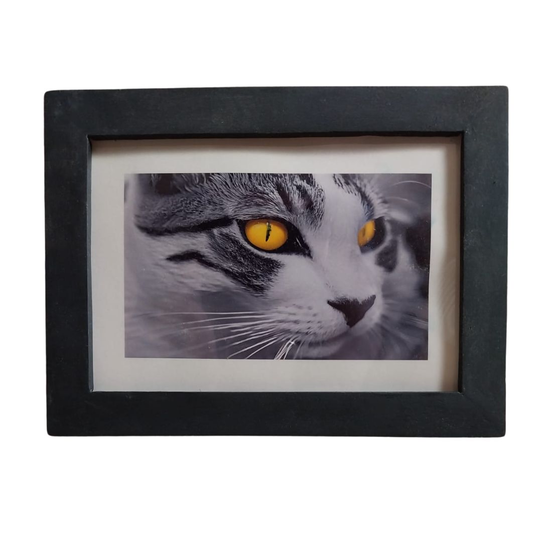 Quadro Decorativo Gatto Giallo