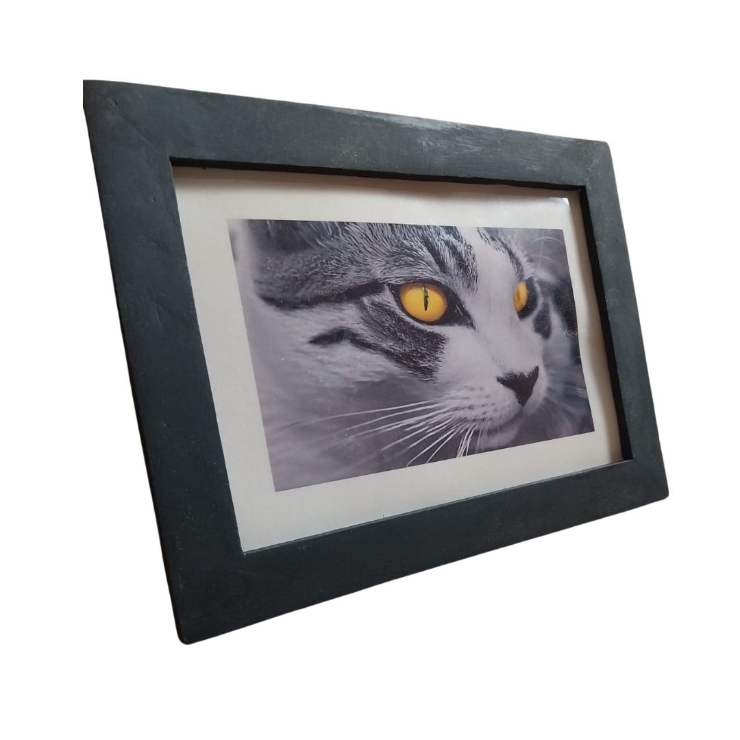 Quadro Decorativo Gatto Giallo