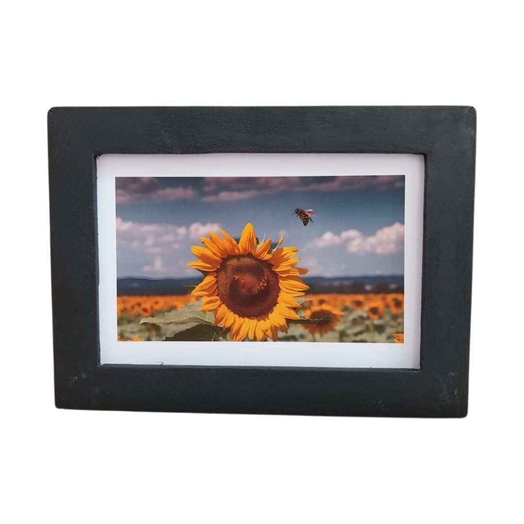 Quadro Decorativo Un Fiore dei Sole