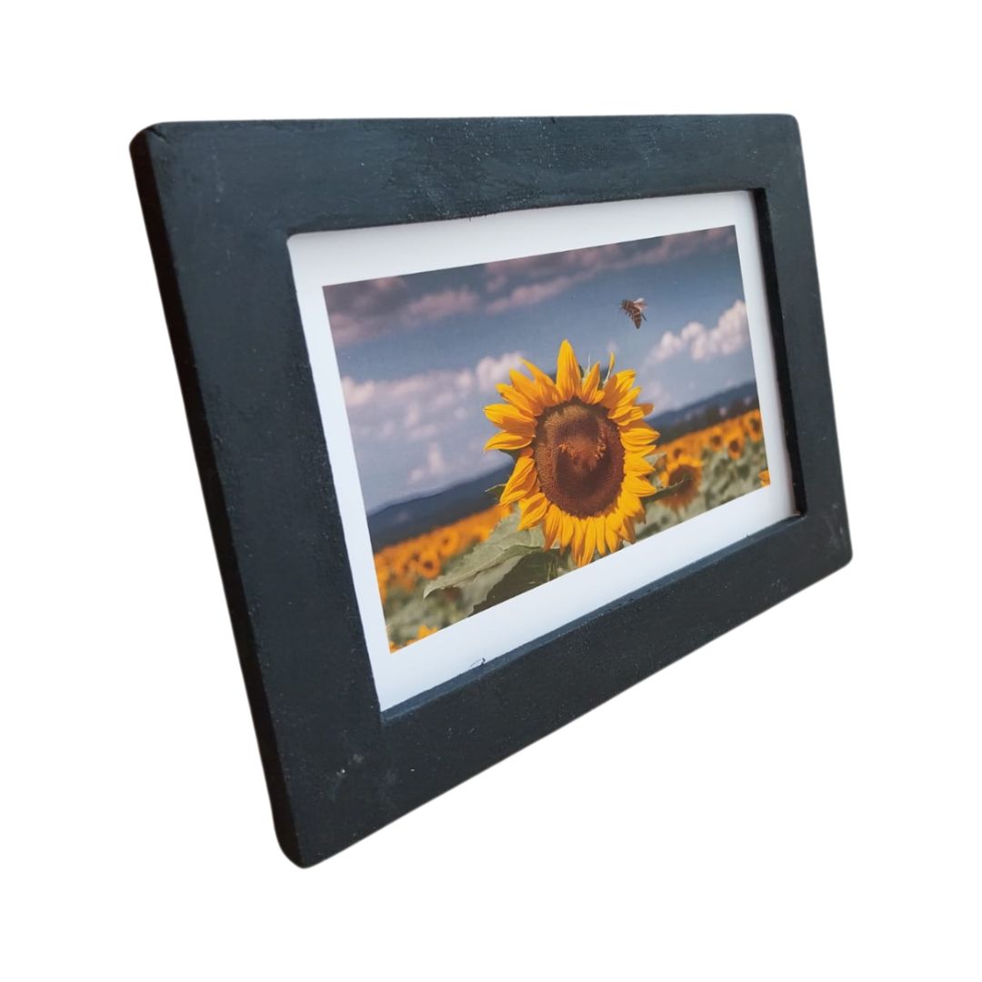 Quadro Decorativo  Un Fiore dei Sole