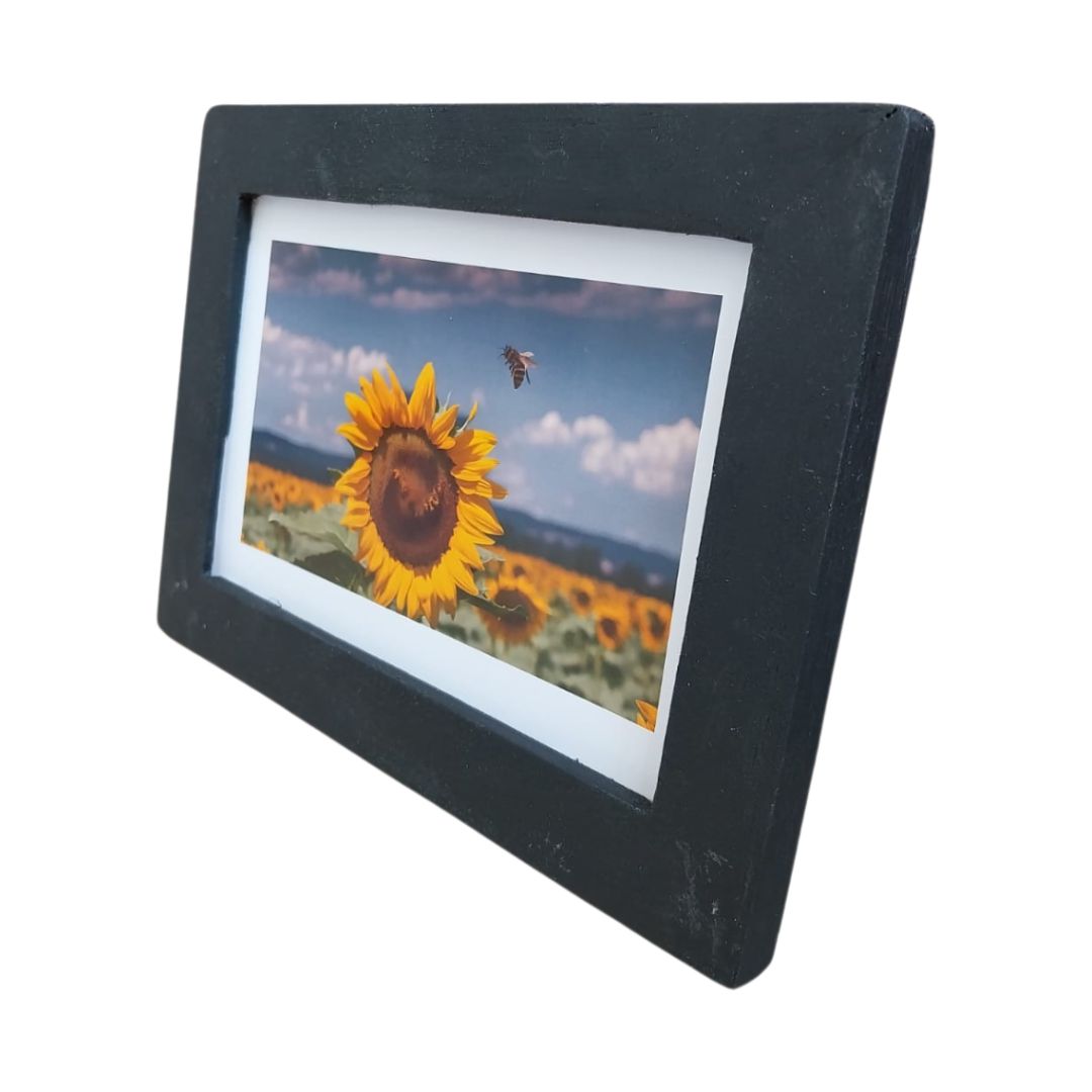 Quadro Decorativo  Un Fiore dei Sole