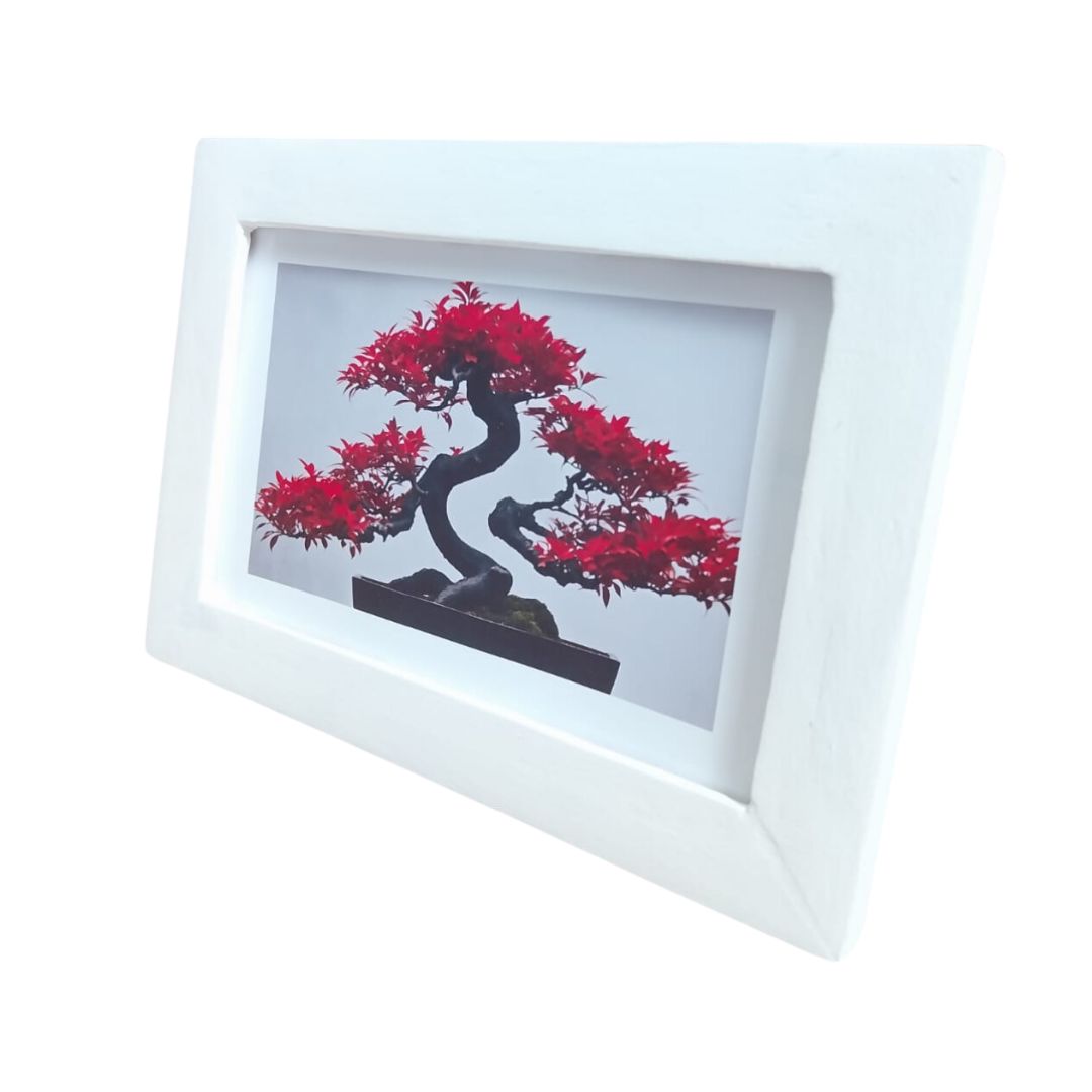 Quadro Decorativo Bonsai