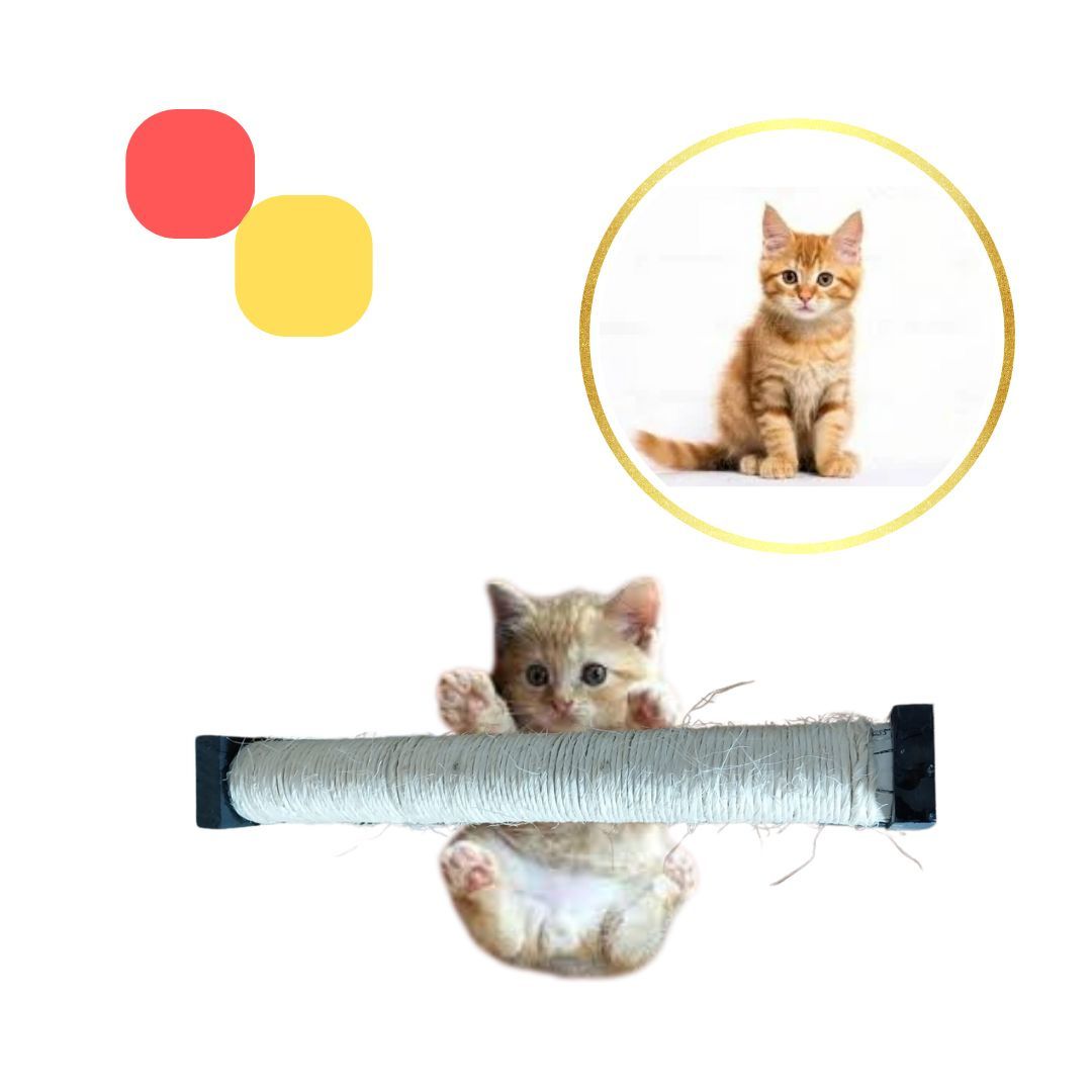 Arranhador Para Parede Ou Chão Para Gatos