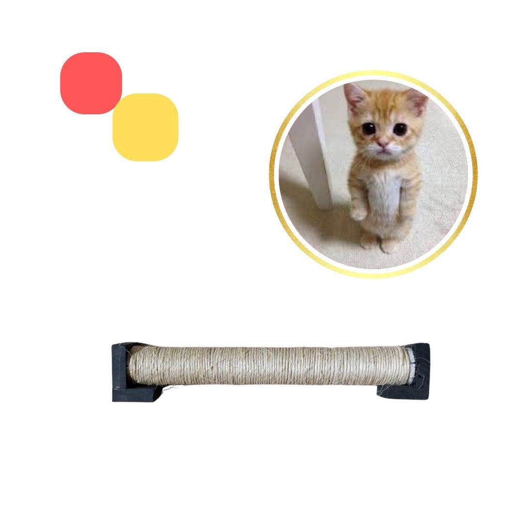 Arranhador Para Parede Ou Chão Para Gatos
