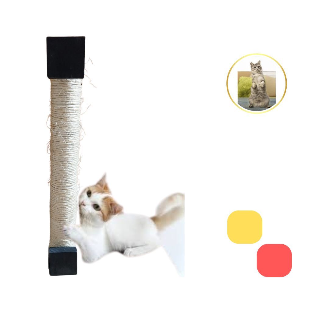 Arranhador Para Parede Ou Chão Para Gatos