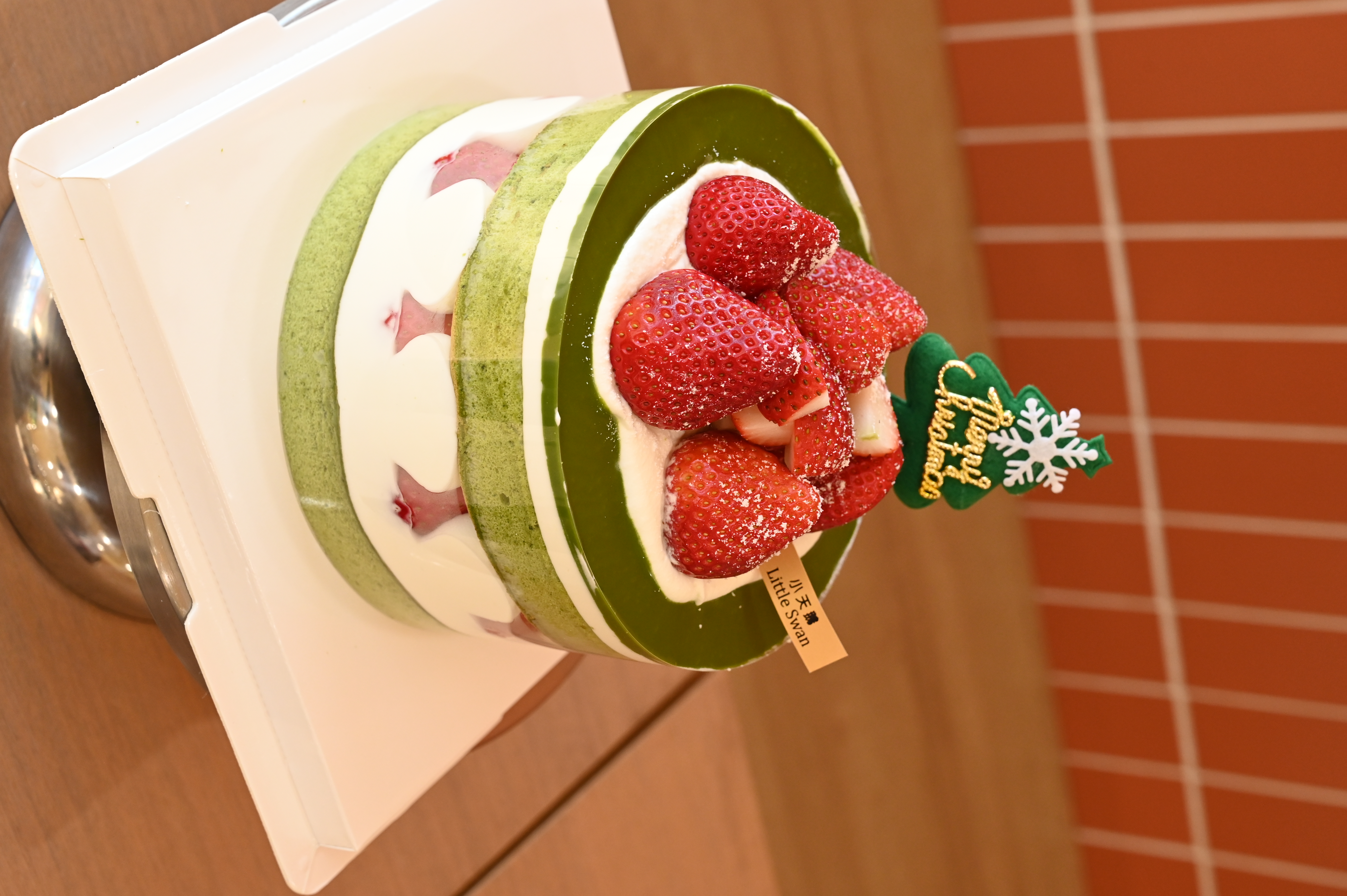 Christmas Matcha Forest