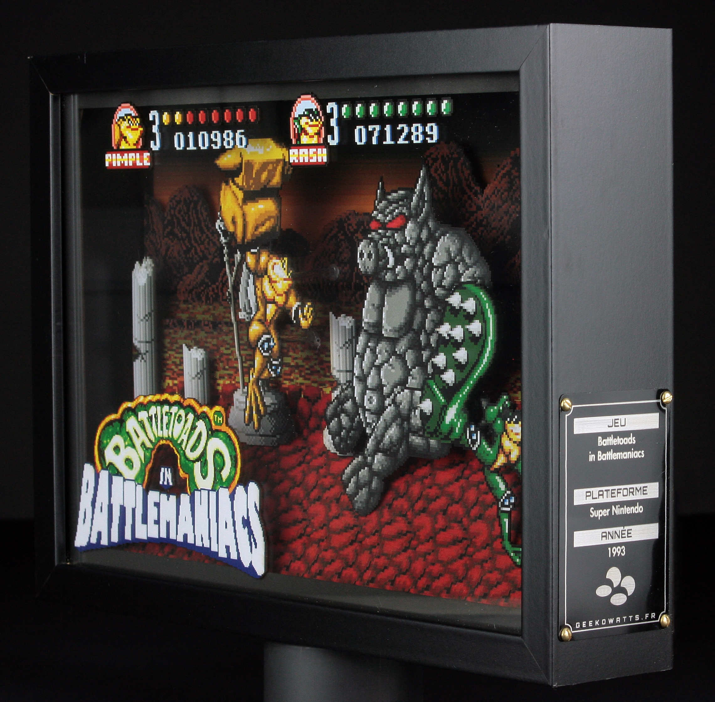 Battletoads in Battlemaniacs