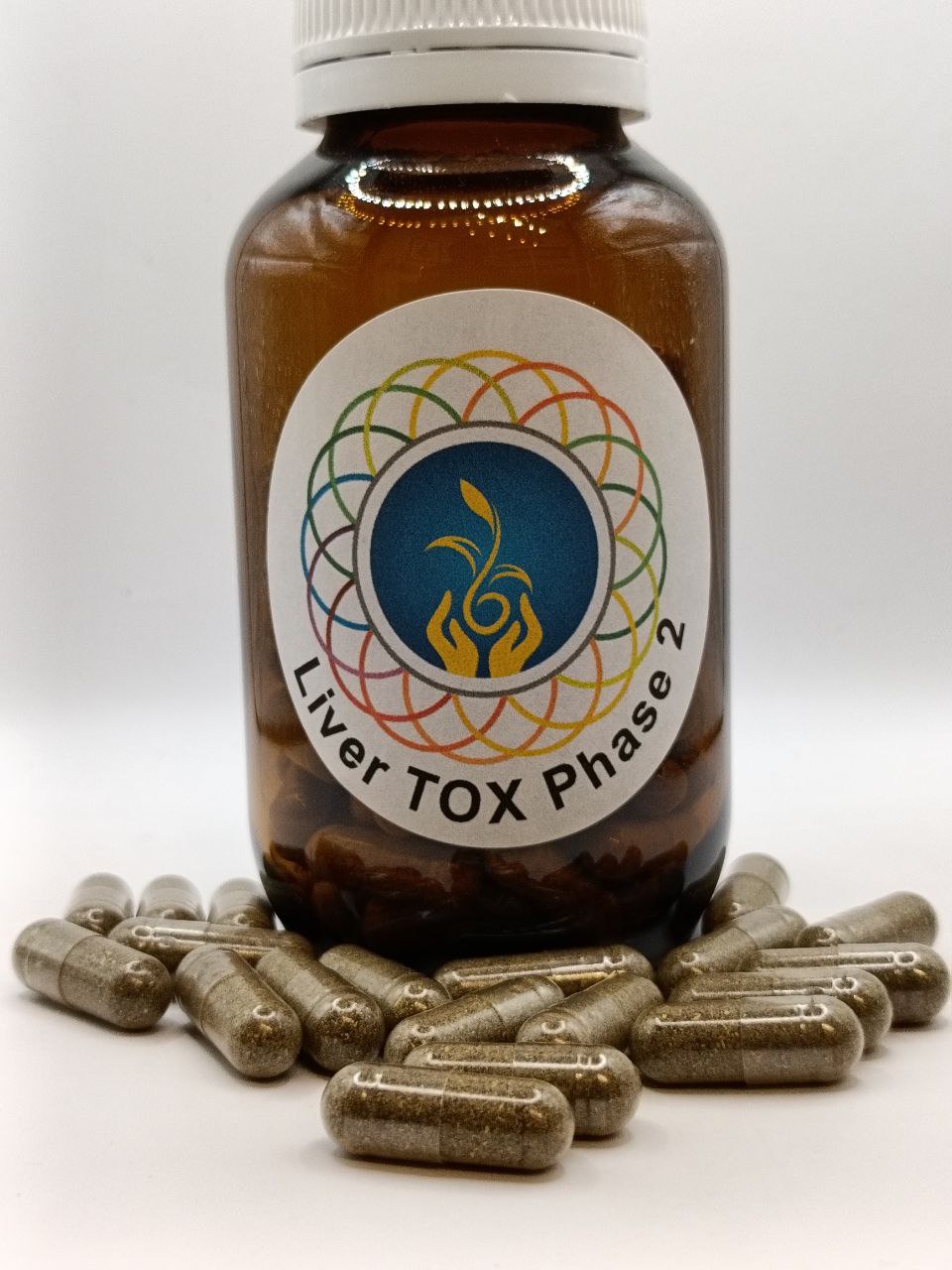 Liver TOX Phase 2
