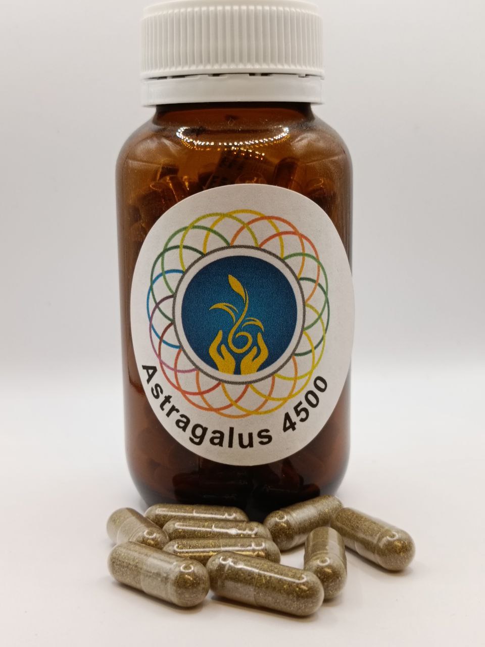 Astragalus Capsules