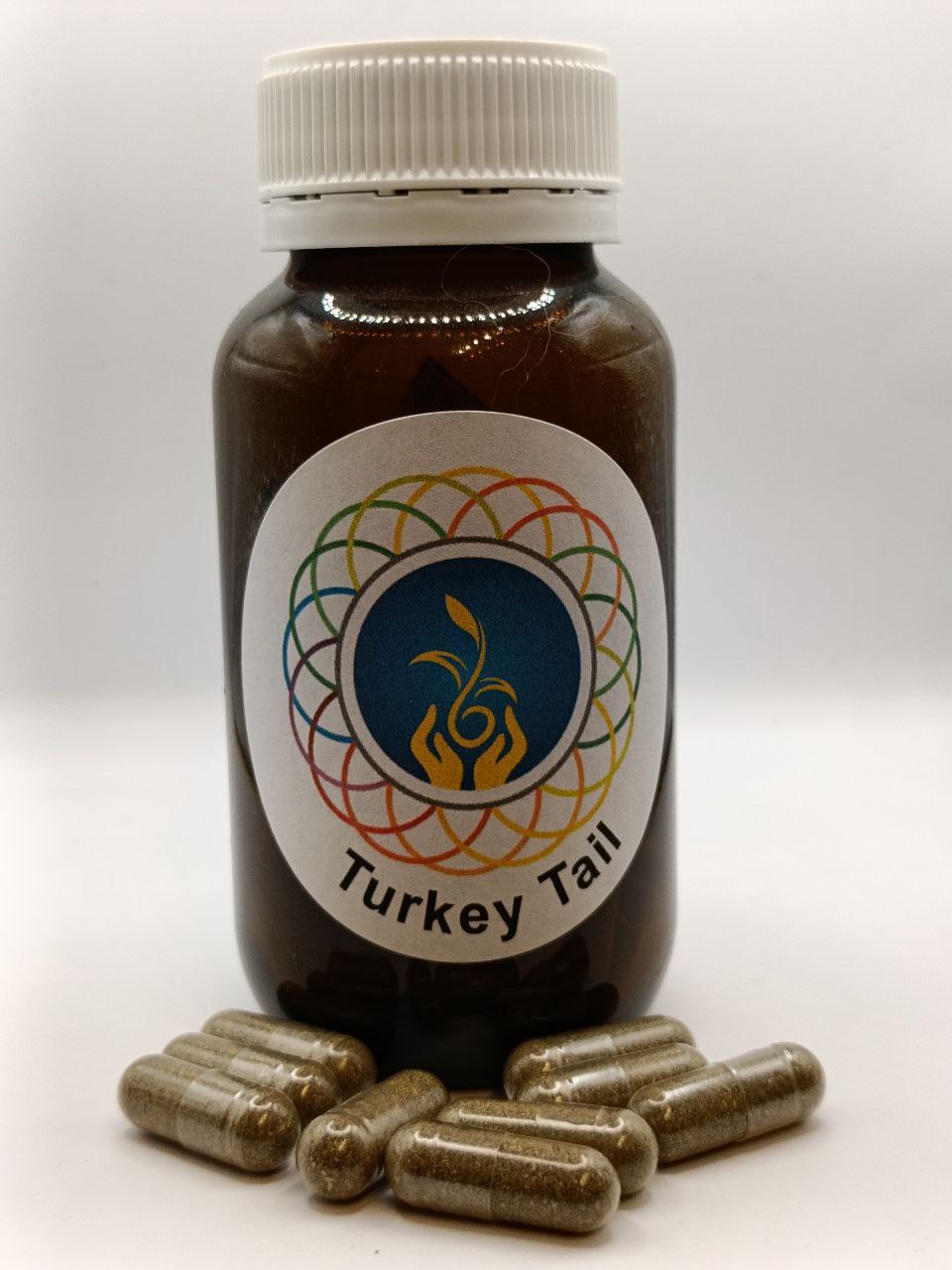 Turkey Tail Mushroom Capsules