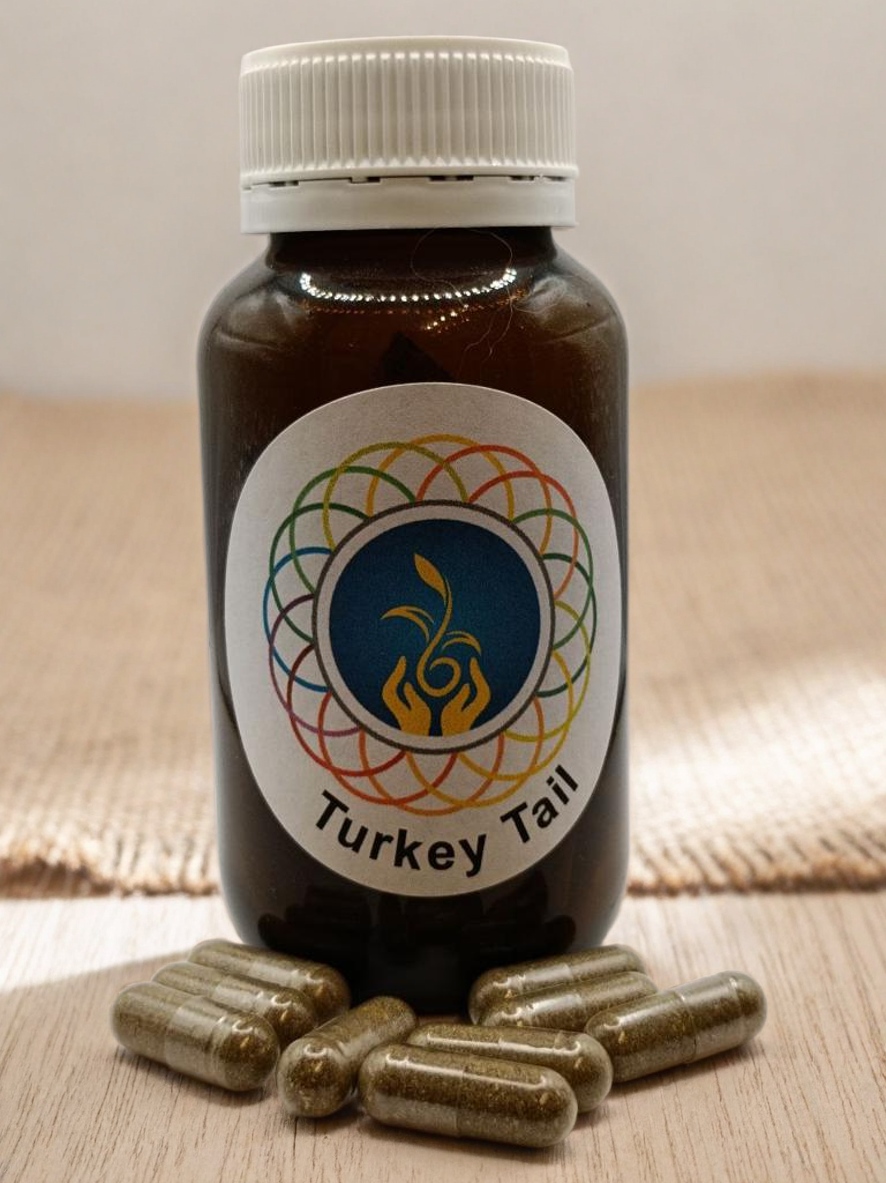 Turkey Tail Mushroom Capsules