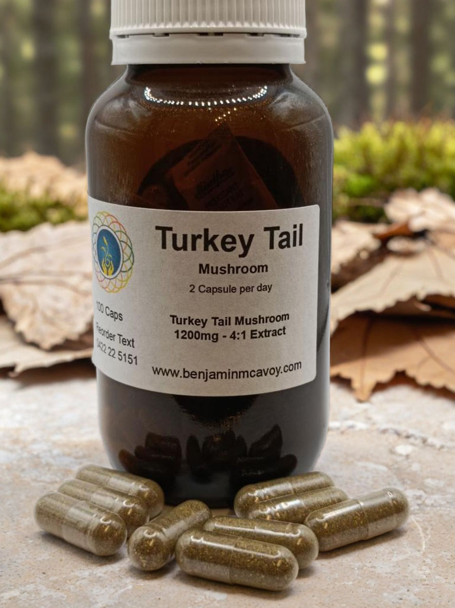 Turkey Tail Mushroom Capsules