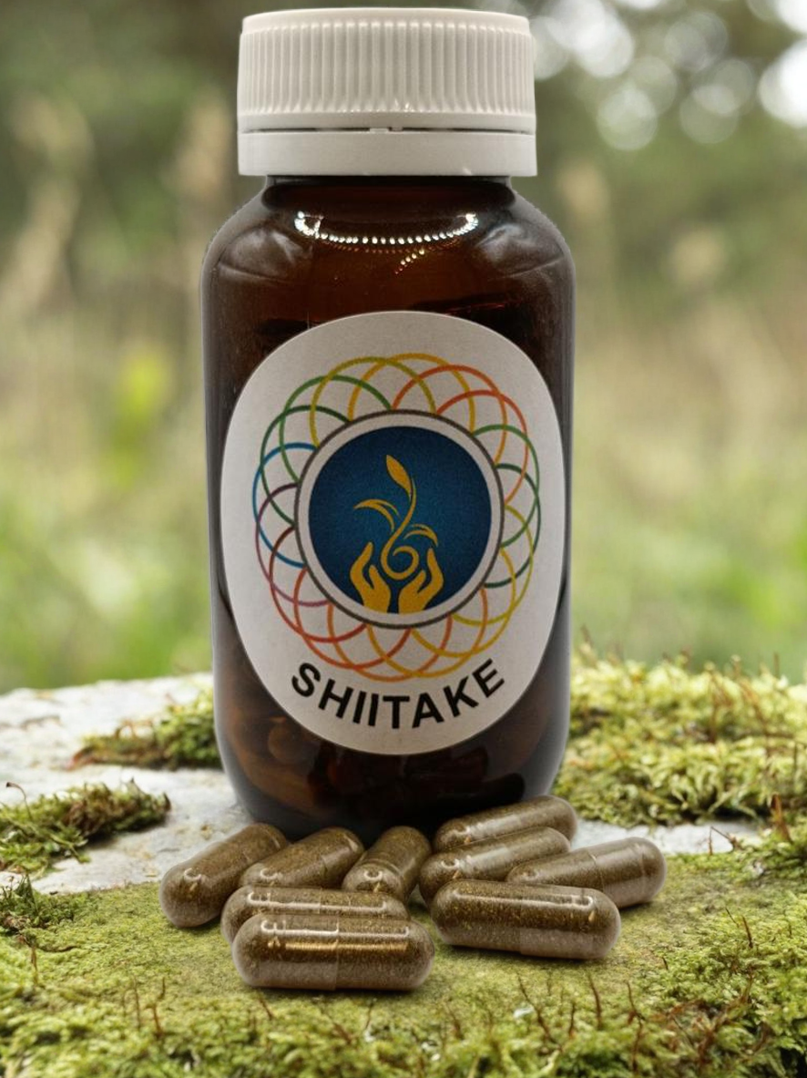Shiitake Mushroom Capsules
