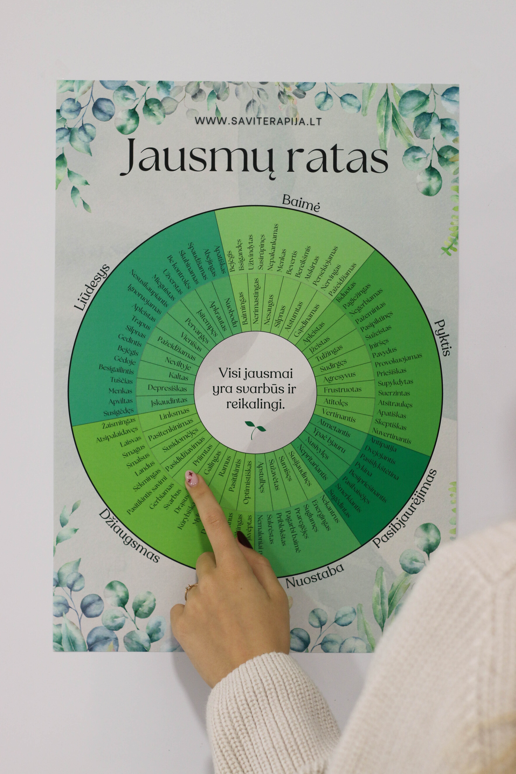 Emocijų ir jausmų ratas. Plakatas jausmams įvardinti