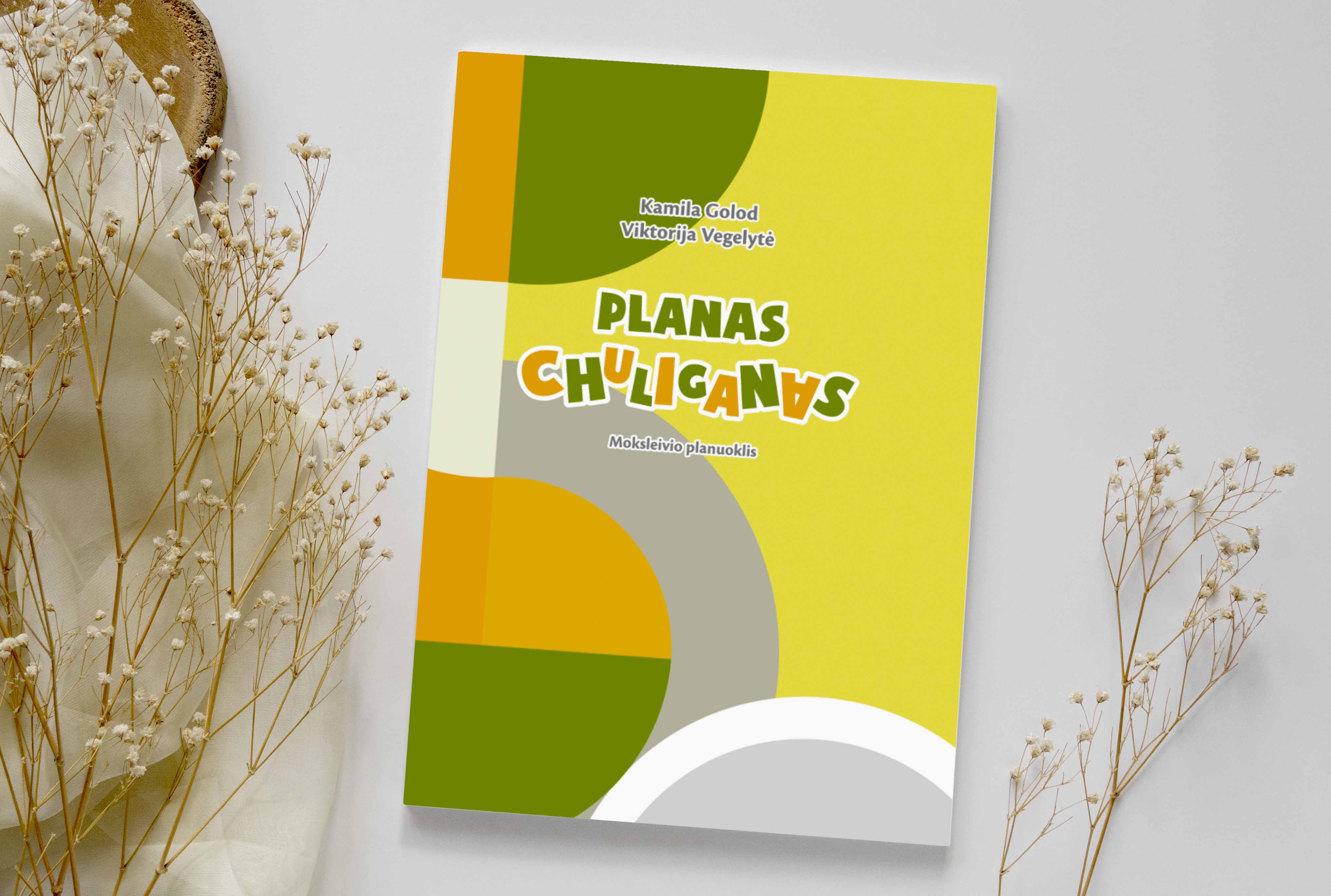 Planuoklis paaugliams