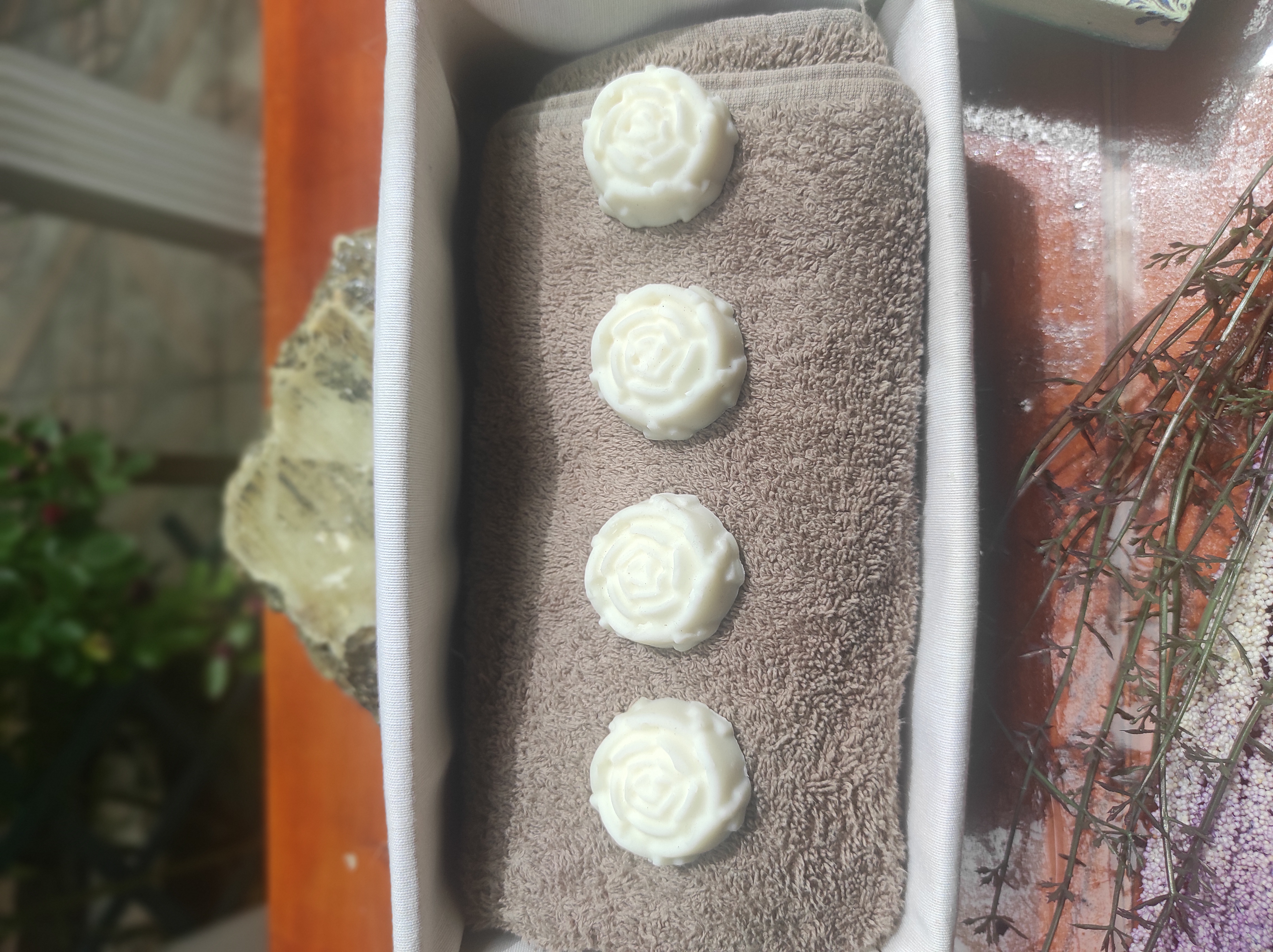 Jabones de aceite de coco y bergamota