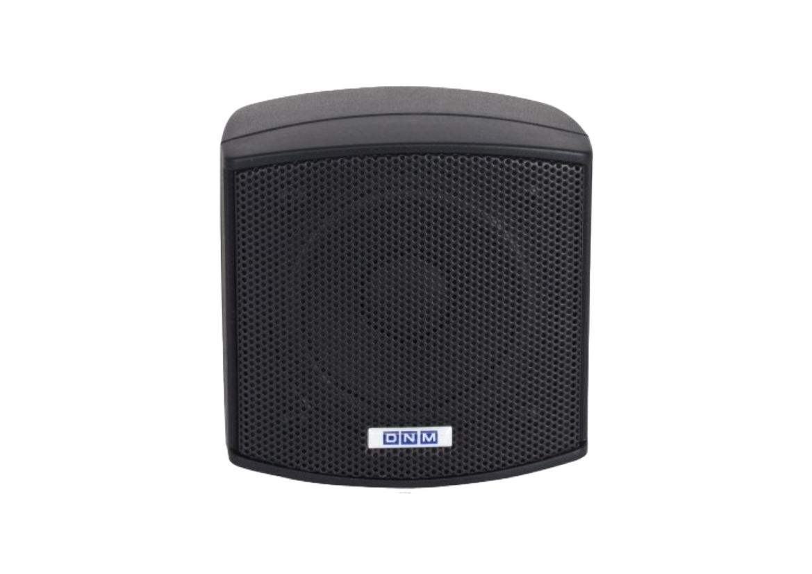 DNM INDOOR ON WALL SPEAKER D 202