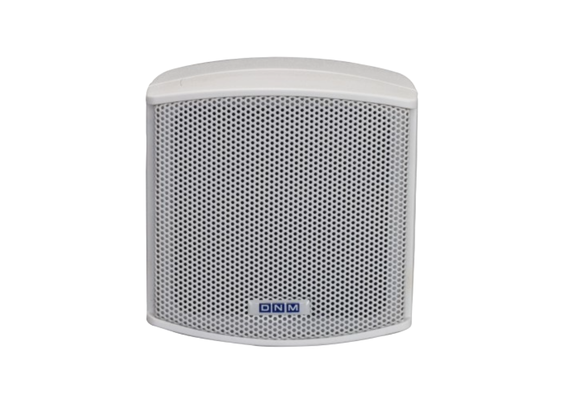 DNM INDOOR ON WALL SPEAKER D 202