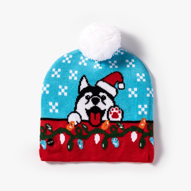 Dog Christmas Hat
