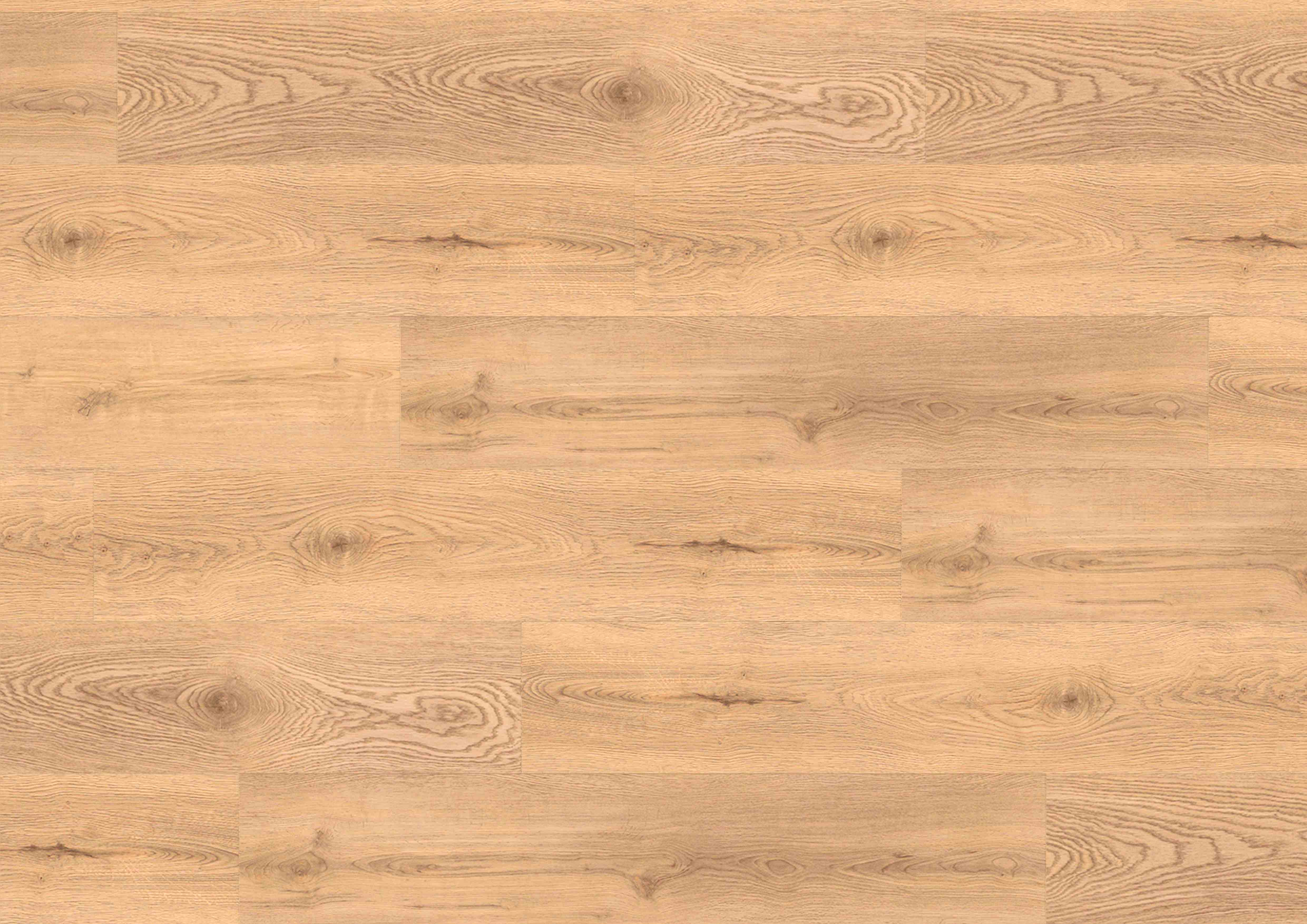 Designbelag XL Eiche Hell Naturell Trittschall gefast CLIC