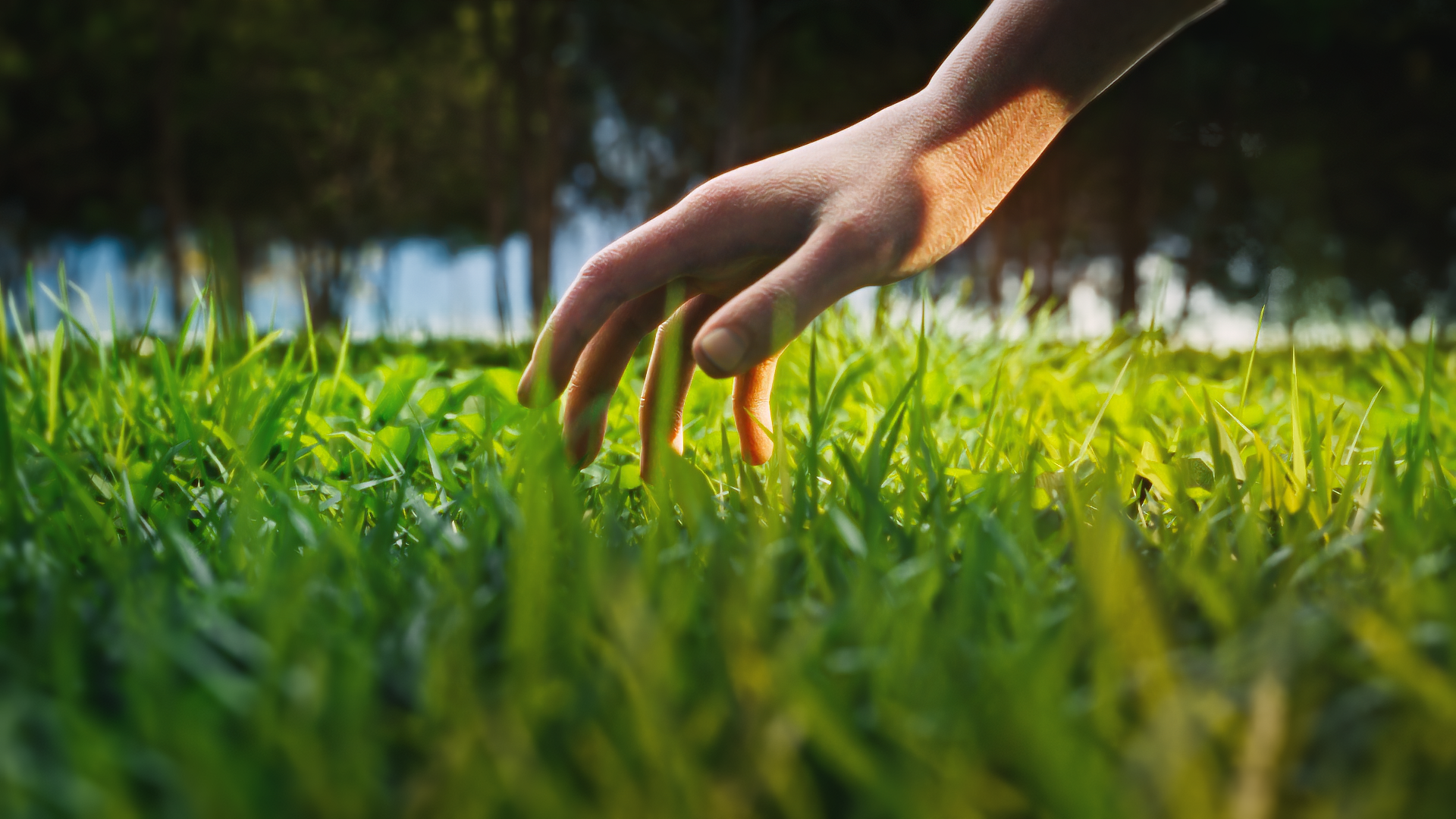 Touch Grass Blender Notification Addon
