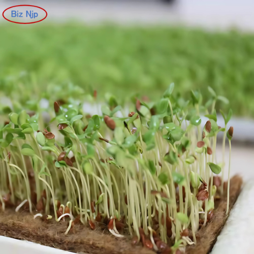 10x20 Jute Microgreen Mats - Organic Seed Starter Pads 