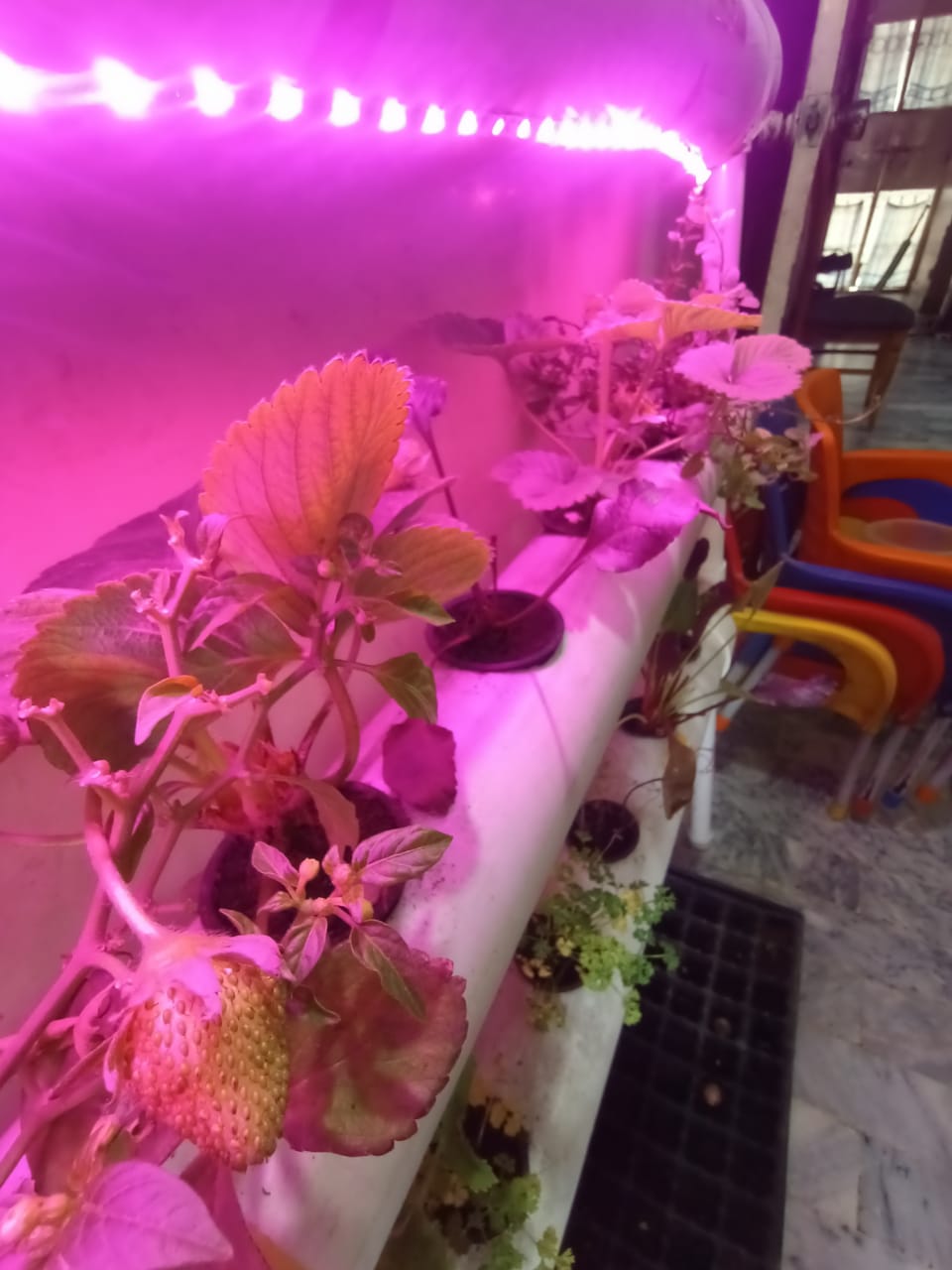 Hydroponic NFT 20 Planting Hole Kit