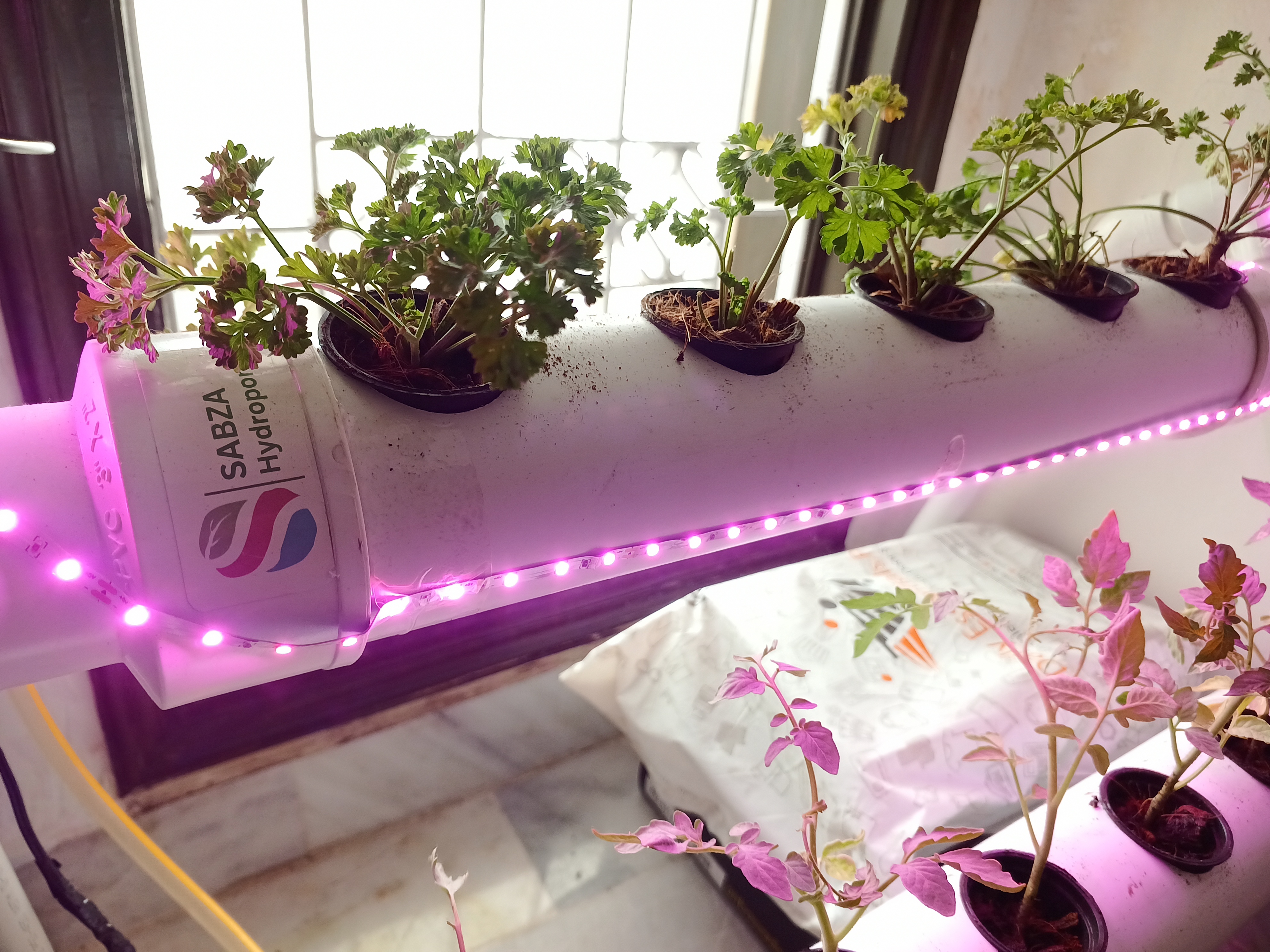 Hydroponic Mini NFT 10 Planting holes