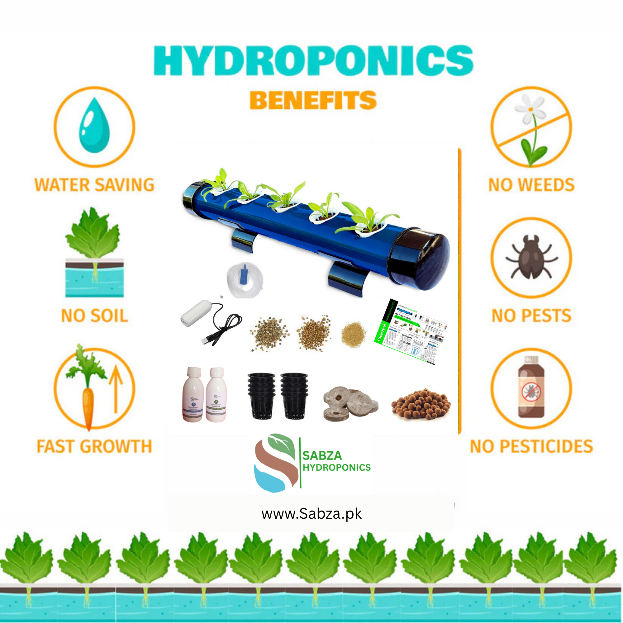 Sabza 5-Plant Hydroponics Kit – Indoor/Outdoor Gardening System for Home – Beginner Friendly